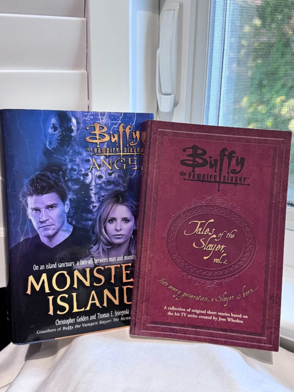 🧛‍♀️✨ Buffy the Vampire Slayer Collector's Book Bundle — Buffy Verse Adventures
